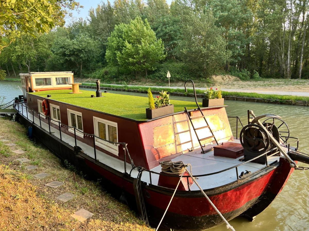 Peniche Dondon - Gite Cocooning Sur Canal Du Midi Avignonet-de-Lauragais Exterior photo