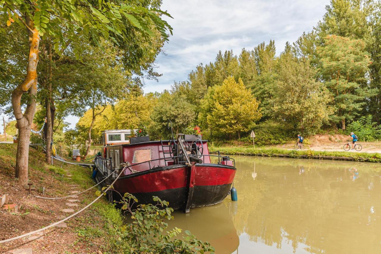 Peniche Dondon - Gite Cocooning Sur Canal Du Midi Avignonet-de-Lauragais Exterior photo